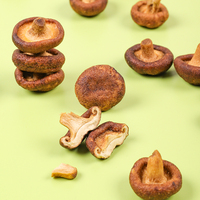Chips de Champiñones Shiitake Fritos al Vacío a Baja Temperatura, Salados, 45g, Certificados Halal, Snacks Vegetales Secos, Saludables y Crujientes
