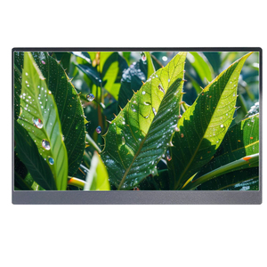 <span class=keywords><strong>OLED</strong></span> 17,3-дюймовый экран с разрешением 1920*1080, диапазон рабочих температур-43, экран с электромагнитным экранированием - Product Image 4