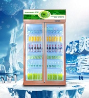 Réfrigérateur commercial à double porte avec porte en verre pour boissons, refroidissement par air, anti-buée