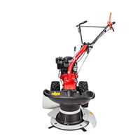 EUROSYSTEMS Rotary Scythe P70 EVO Briggs & Stratton Engine Largeur de travail 64 cm Hand Push Brush Tondeuse à gazon