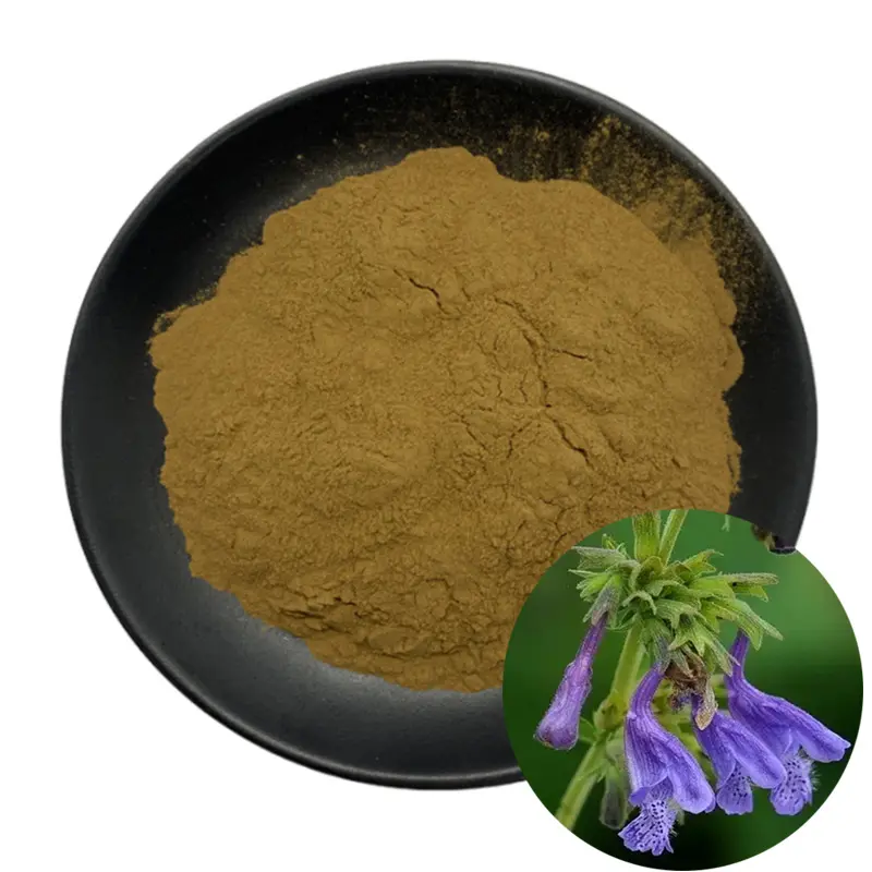 Voorraden Leveren Coleus Forskohlii-Extract 10% 20% Forskolin