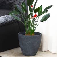 Pot en plastique contemporain minimaliste pour pulvérisation de béton, pot en résine, plante moderne à effet faux béton
