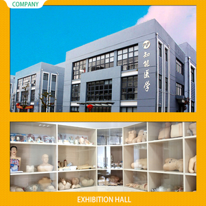 Sinh Viên Đào Tạo Một Nửa Cơ Thể Cpr Mô Hình PVC Máy Vi Tính Tim Hồi Sức Mô Phỏng Y Tế Khoa Học Manikin Cho Đào Tạo CPR - Product Image 6