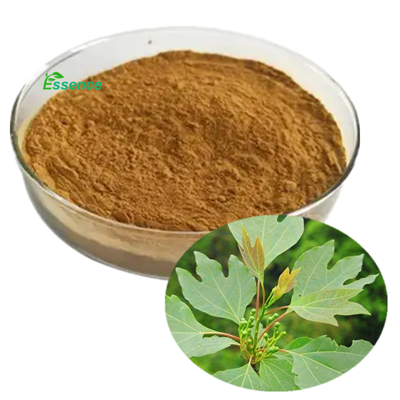 Высокое качество 4:1 10:1 экстракт коры корня Sassafras порошок