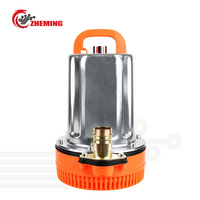 Pompe à eau solaire submersible en aluminium 180w 12v 8m 1 pouce DC avec une forte hauteur de refoulement et un débit élevé pour l'irrigation agricole