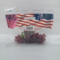 Sac en plastique pour raisins frais avec fermeture éclair, impression personnalisée, sac en plastique avec poignée