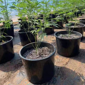 Prix bas Pot de fleur rond en plastique noir de 1 2 3 <span class=keywords><strong>5</strong></span> 6 7 10 15 20 25 gallons Pots de culture de pépinière en plastique pour serre jardin - Product Image 3