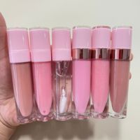 Brillant à lèvres rose végétalien très brillant avec étiquette privée