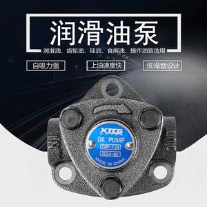 ปั๊มน้ำมันขนาดเล็ก ปั๊มเกียร์ไซโคลอไดล์ 1 นิ้ว ท่อปล่อยน้ำมันแบบต่อตรง มอเตอร์ 0.5 แรงม้า ปั๊มหล่อลื่น - Product Image 4