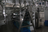 Petite usine d'abattage de poulet automatique approuvée CE, petite ligne de machine d'abattage de poulet