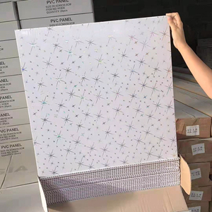 Tấm Trần Pvc 595 603 Thiết Kế Mới Nhất Của Pvc - Product Image 4