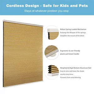 Decoration Window Shade Customized All Fabric Carton Box Contemporary French Window Blackout Roller Blinds Pleated Roller