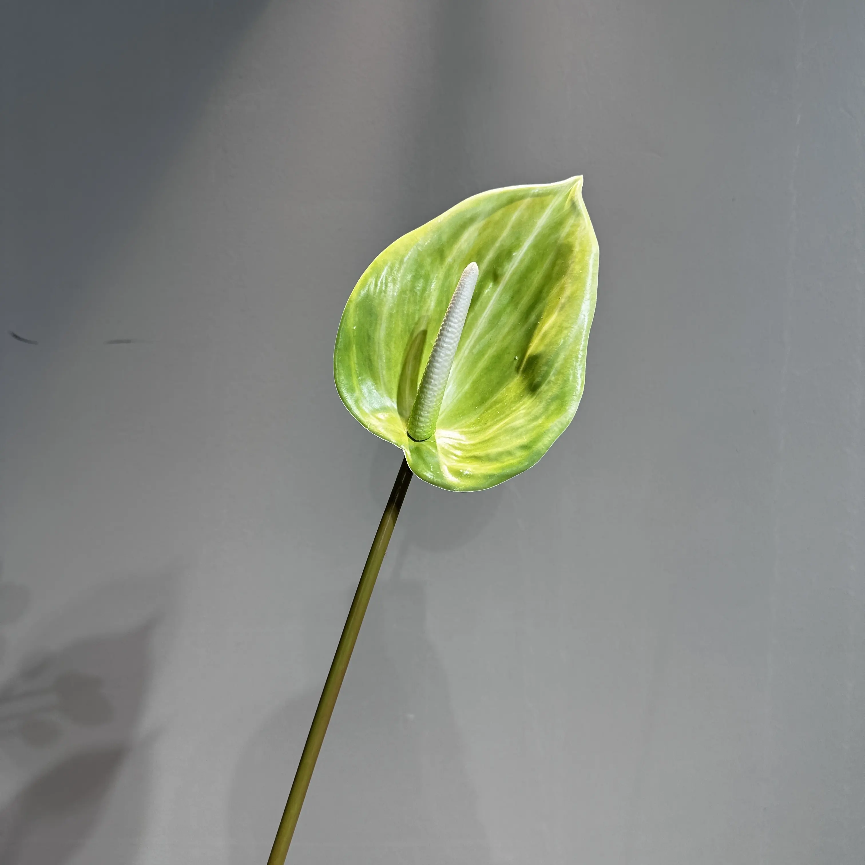 Vente en gros Calla Lily fleur artificielle décoration chaude fleur mariage maison bureau bébé souffle fleur