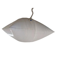 24000 litres PE alimentaire Flexible sac de transport en vrac emballage Flexitank glycérine huile de tournesol huile de canola huile de palme 20ft conteneur