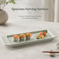 Assiette en mélamine de luxe moderne et contemporaine, forme irrégulière, avec poignées, gris spatial mat, double anse, incassable, pour buffet et usage hôtelier