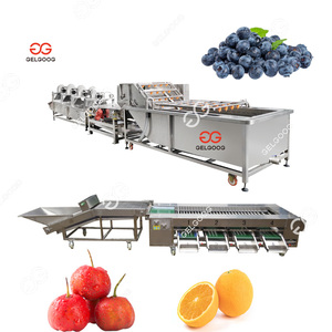 Ligne de production de nettoyage, de tri, d'emballage et de production de fruits, ligne d'emballage d'oranges, ligne de lavage, de séchage et de cirage pour fruits - Product Image 1