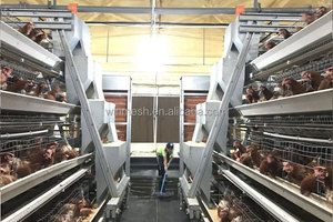 Jaula para Gallos <span class=keywords><strong>de</strong></span> Malla <span class=keywords><strong>de</strong></span> Alambre Galvanizado Tipo A Totalmente Automática, Equipo para Granjas Avícolas, Sistema <span class=keywords><strong>de</strong></span> Alimentación, Jaula para Gallinas Ponedoras - Product Image 4