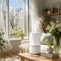 Humidificateur ultrasonique à brume fraîche 3L, diffuseur d'arômes avec veilleuse LED, humidificateur d'air à double mode de brume pour chambre à coucher et maison