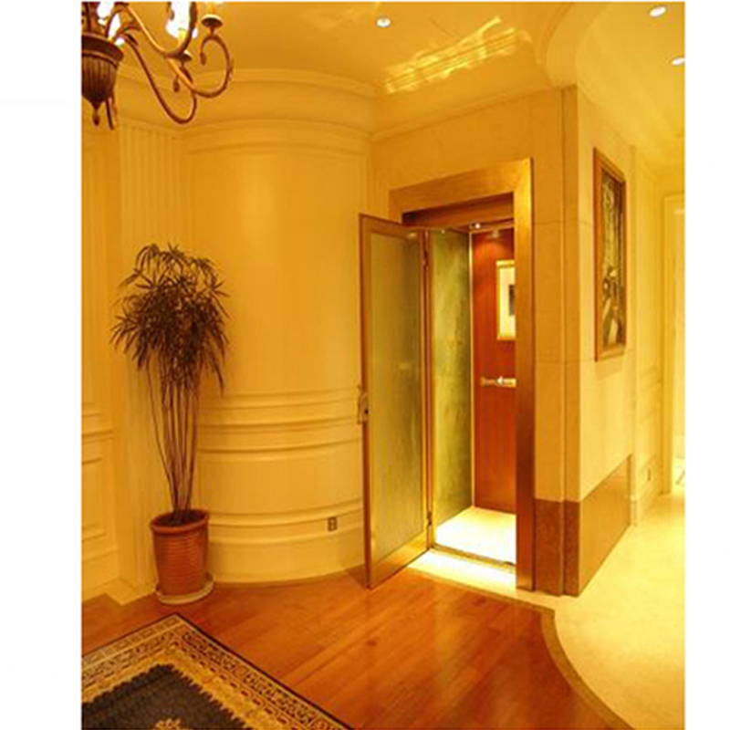 Excellent quality small elevators for homes villa disabled house lift