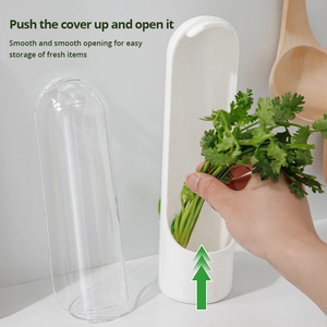 Conteneur de conservation en gros pour herbes aromatiques, bouteille de conservation pour vanille et légumes frais, pour réfrigérateur, gadgets de cuisine - Product Image 5