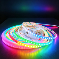 Tira de Luz LED RGB WS2812B Direccionable, Ultrafina de 5mm, Alimentada por USB, para PC Gaming, 5m, DC5V 12V