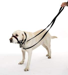 Maglia di cotone guinzaglio del cane, a sei vie Europeo-stile multifunzionale guinzaglio del cane - Product Image 3