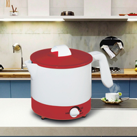 Appareil de cuisine polyvalent OEM Bouilloire électrique pour aliments et poêle multifonction pour la cuisson