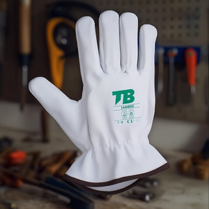 Guanti Termici da Meccanico TB 160IBSZ T-9 Taglia XS Guanti da Lavoro Resistenti al Calore - Product Image 3