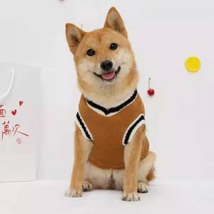 Shiba Inu, <span class=keywords><strong>Corgi</strong></span>, Bichon Frise, Teddy için Sonbahar Kış Sıcak, Düz Renk, Kolej Tarzı Polyester Köpek Süveterleri - Product Image 4