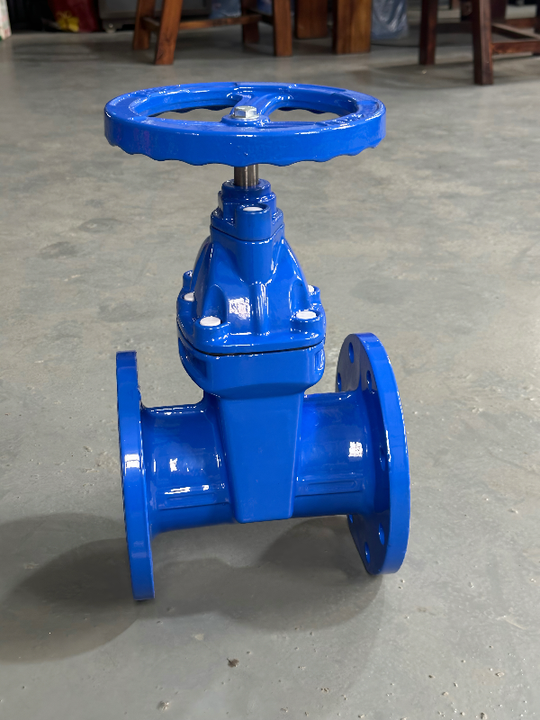 Cast Iron Manual Gate Valve with Resilient Soft Sealing Stem Flange Design Soft Sealing Gate Valve