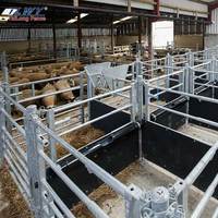 Panneau de clôture amovible 2,1 x 1 m pour bétail, moutons, chevaux, résistant à la rouille, galvanisé à chaud