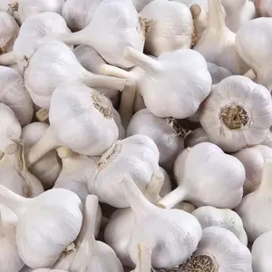 Market Peeled Garlic Price/fresh Snow White Garlic/fresh Garlic Normal White Pure White