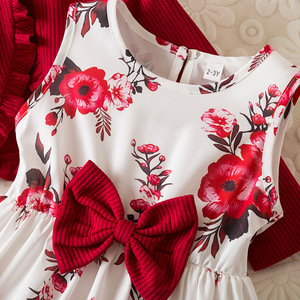 Nouvelle collection été : Ensemble robe de princesse fleurie pour enfants, cardigan à manches longues et robe assortie, robe de soirée pour bébés filles, vente en gros personnalisée - Product Image 6