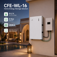 Batterie de stockage d'énergie résidentielle CFE WL-16 Split 16 kWh 51,2 V 314 Ah LiFePO4 avec communication CAN, jusqu'à 8 unités en parallèle