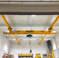 Vente d'usine WEMAX : Pont roulant suspendu LX 2-10 tonnes à poutre unique, certifié CE, avec PLC et moteur