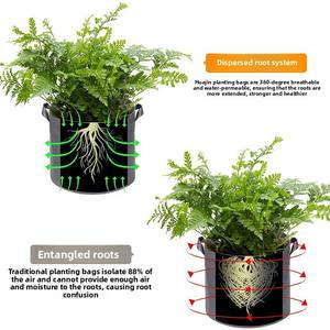 Macetas C319 para Plantar al por Mayor, Ideales para Jardines Familiares, Bolsas para Plántulas y Macetas - Product Image 2