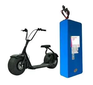 Citycoco — batterie lithium-ion 36/48/60V, 2000W, pour vélo ebike, personnalisable, pour harley fat bike