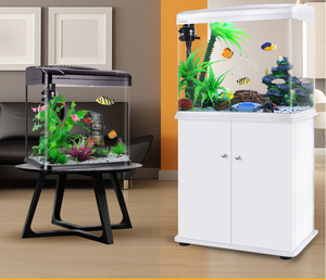 Vente en gros d'aquarium rectangulaire en verre de luxe disponible dans de grandes et petites tailles pour un usage domestique commercial écologique - Product Image 4
