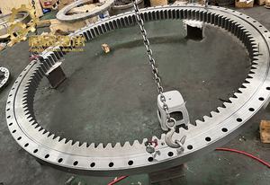 Китай Профессиональные Фабрики и команды R916 экскаватор поворотный подшипник Производители экскаватор поворотный подшипник - Product Image 5