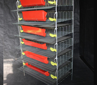 Cage d'élevage de caille avec abreuvoir automatique à mamelon, capacité de 6 couches 360