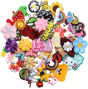 60pcs Random Assorted Styles Embroidered Patches, Sew On Patches Applique for Clothes, Dress, Hat, Jeans