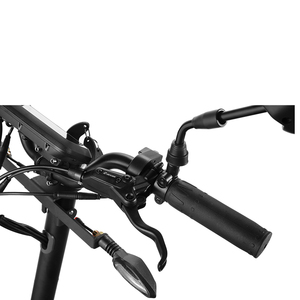 Scooter Eléctrico de 3 Ruedas de Diseño Popular con Batería de Litio de 48v 23.4ah para H-001, Scooter de 3 Ruedas H-001 H-001 - Product Image 4