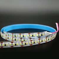 Prix usine 5m Flexible LED Bande Lumière DC12V 10mm 180LEDs/m IP20 Blanc SMD 2835 Blanc Chaud Paysage 12V Contrôleur D'entrée