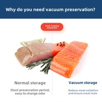 Mini machine à sceller sous vide automatique portable en plastique écologique d'une capacité de 500ml Protection contre la surchauffe pour le ménage