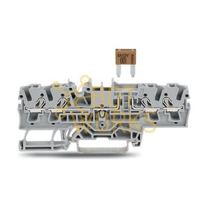 Wago 20021881 - Nuovo - Product Image 1