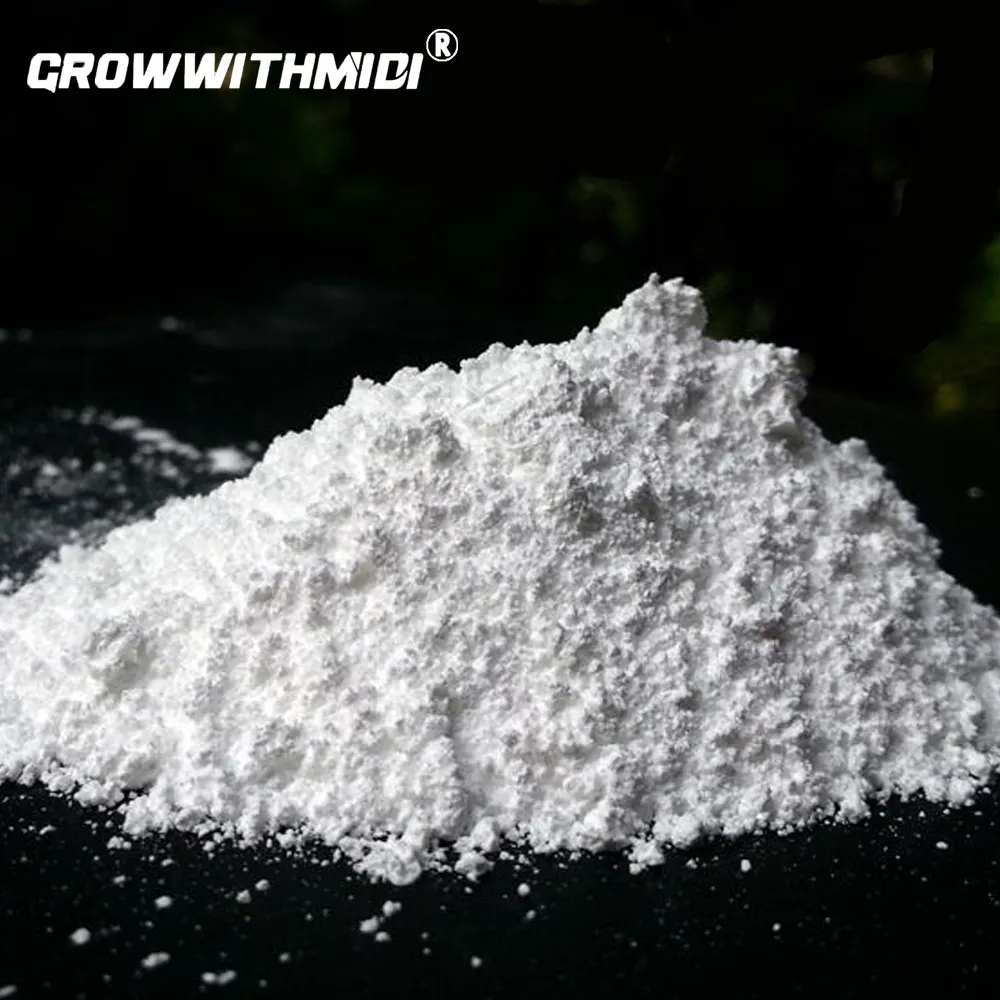 Titanium Dioxide Rutile Lớp Anatase Lớp