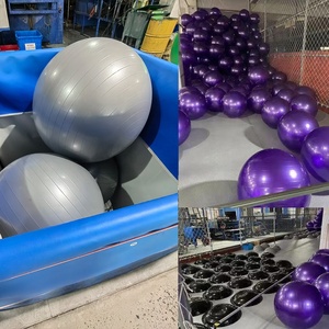 Antiexplosion Yoga Ball Gym Ball 65 Cm Custom Yoga Ball Fitness Sport Accessories Pilates Essentials Kit Integrated Gym <strong>Trainer</strong> - Product Image 2