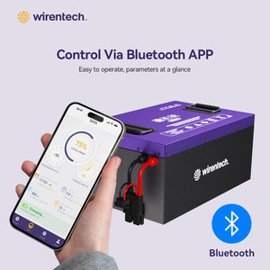 Batteria ricaricabile per triciclo per veicoli elettrici 24V 36V 48V 50Ah 100Ah 200Ah batterie agli ioni di litio - Product Image 5