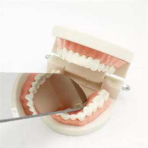Meite-Conjunto de espejo Dental de acero inoxidable, herramienta de preparación para dentista Dental, conjunto de cuidado Dental, compuesto, 4 piezas, venta al por mayor - Product Image 4