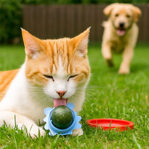 Giocattolo interattivo all'ingrosso della palla del gatto del Silicone del cane del gatto del giocattolo resistente del cane per la pulizia dei denti che masticano ed il gioco divertente - Product Image 5